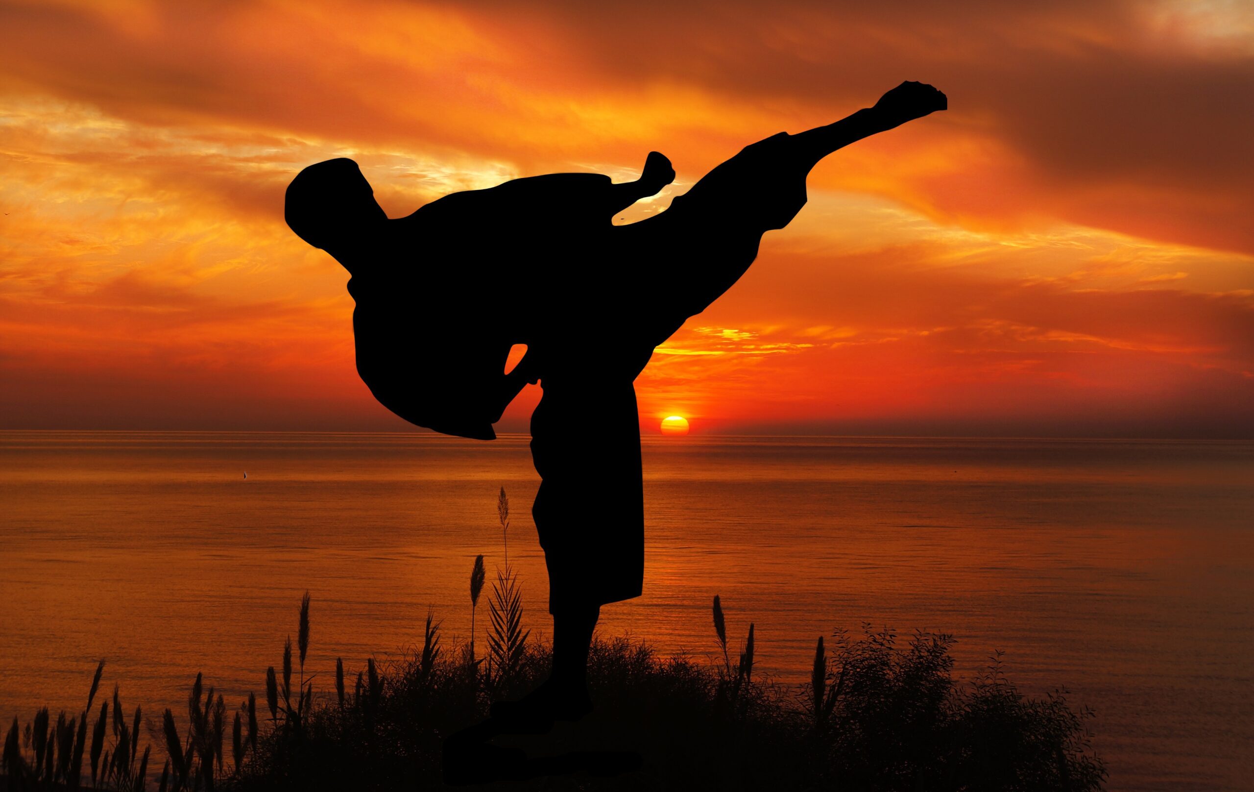 Soñar con Karate Significado Soñar con Karate